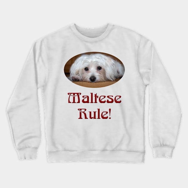 Maltese Rule! Crewneck Sweatshirt by Naves